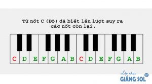Cách xác định vị trí nốt nhạc trên đàn Piano và Organ